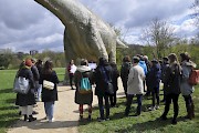 Nur Kraut und Rüben am Stadtrand? 9. April 2022 (Foto: Gianna Heim)