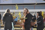 Nur Kraut und Rüben am Stadtrand? 9. April 2022 (Foto: Gianna Heim)
